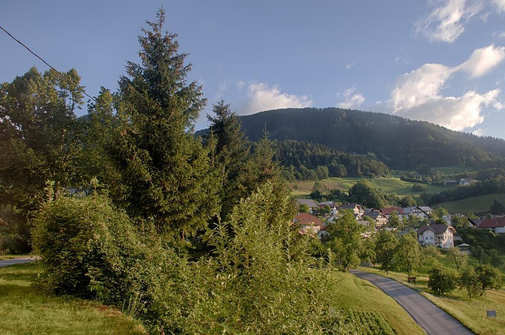 Gostilna Pension Blegos Poljane nad Škofjo Loko Eksteriør billede