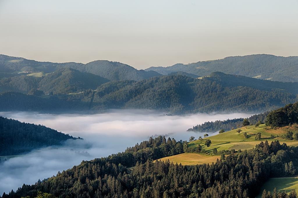 Gostilna Pension Blegos Poljane nad Škofjo Loko Eksteriør billede